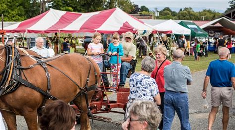 Fiber and fun set for 2023 Adirondack Harvest Festival